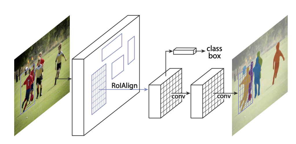 Using Self Supervised Learning for Annotation Reduction in Segmenting Beef Cuts