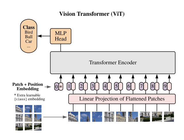 Using Visual Transformers in Sequential Salience Prediction